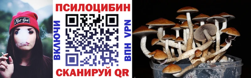Галлюциногенные грибы MAGIC MUSHROOMS  Дальнереченск 