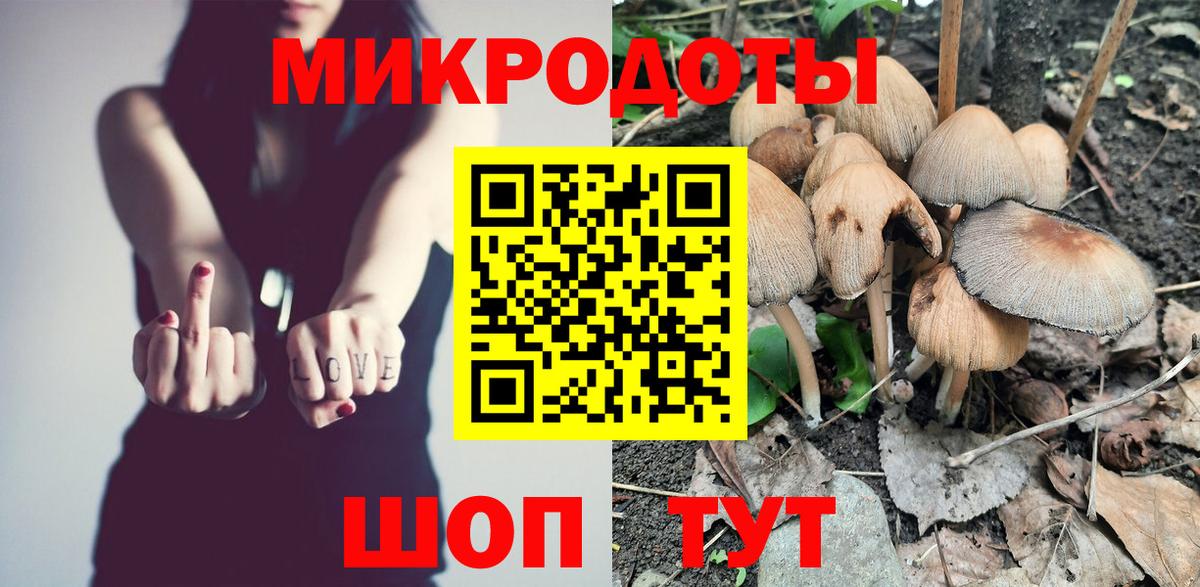 Псилоцибиновые грибы Cubensis Дальнереченск